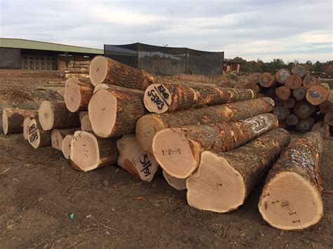 must have at least one straight 16' log segment Please Call 903 8"-11" 16' - 40' Please. . Red oak log prices 2022